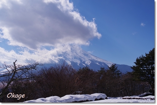a0145010_20581335.jpg