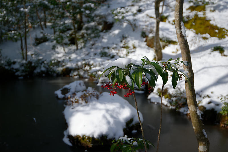 京都の雪景色2018@嵯峨野 常寂光寺_f0032011_20055033.jpg