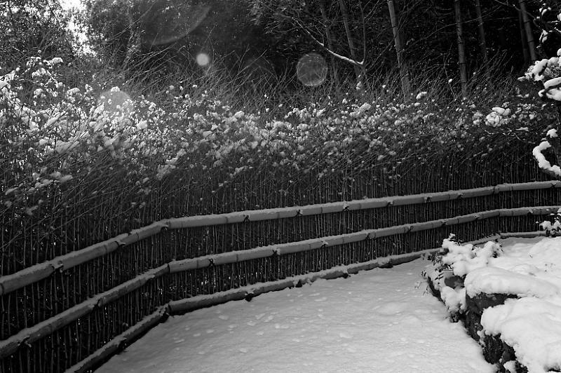 京都の雪景色2018@嵯峨野 常寂光寺_f0032011_20081133.jpg