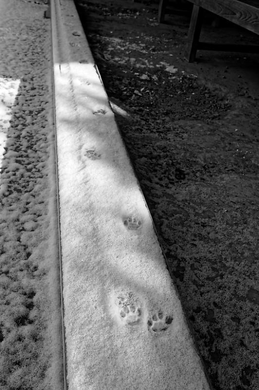 京都の雪景色2018@嵯峨野 常寂光寺_f0032011_20081186.jpg