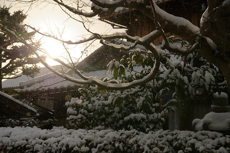 京都の雪景色2018@嵯峨野路 其の四_f0032011_21105405.jpg