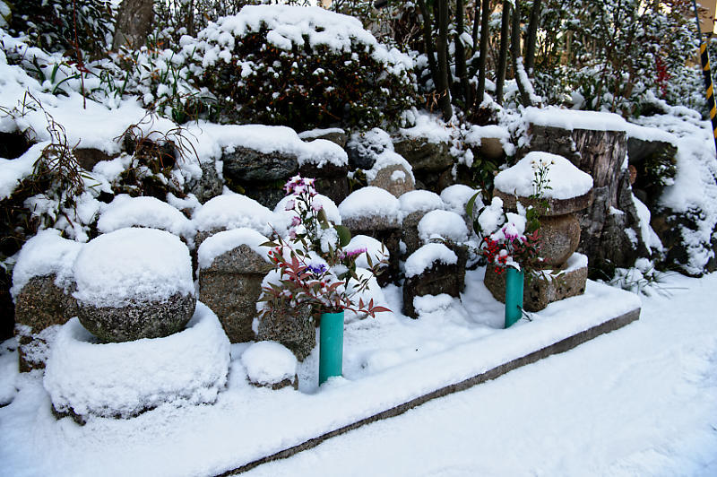 京都の雪景色2018@嵯峨野路 其の四_f0032011_21105434.jpg