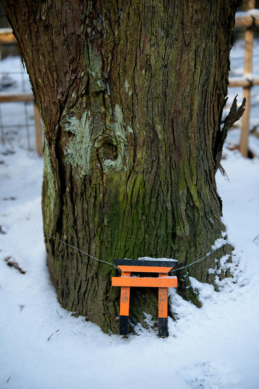 京都の雪景色2018@嵯峨野路 其の四_f0032011_21105481.jpg