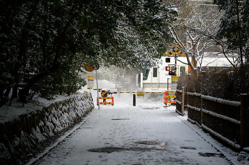 京都の雪景色2018@嵯峨野路 其の四_f0032011_21113733.jpg