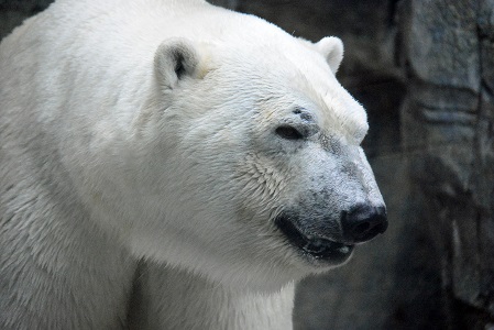 a0151913_24721.jpg