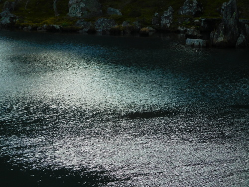 e0345320_02211740.jpg