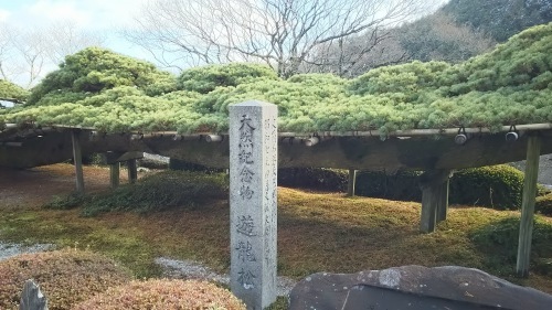 e0345320_22495454.jpg