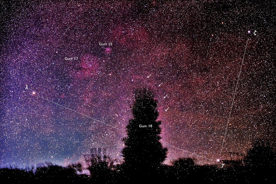 ほ座超新星残骸 安倍奥の星空 ほ座超新星残骸 安倍奥の星空