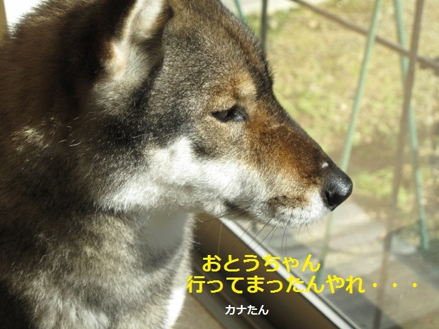 f0143123_20580290.jpg
