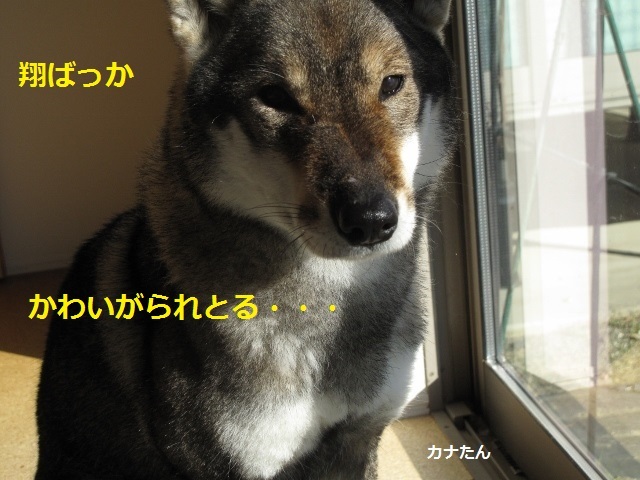 f0143123_20581085.jpg