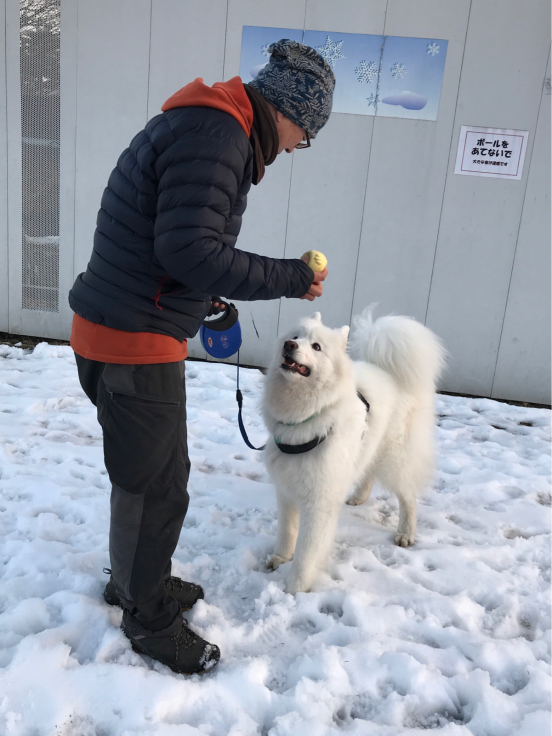 週末★あれこれ＆お知らせ_f0234023_17302081.jpg