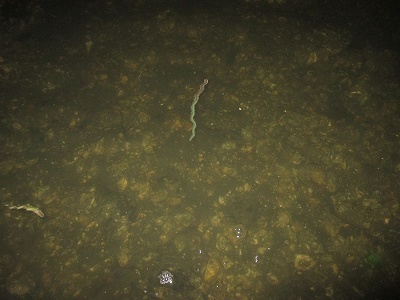 f0321433_11261932.jpg