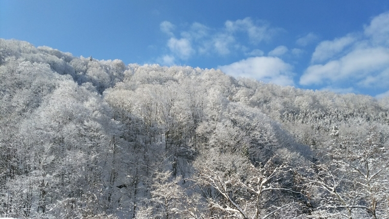 奥飛騨の雪景色_e0305834_02134905.jpg