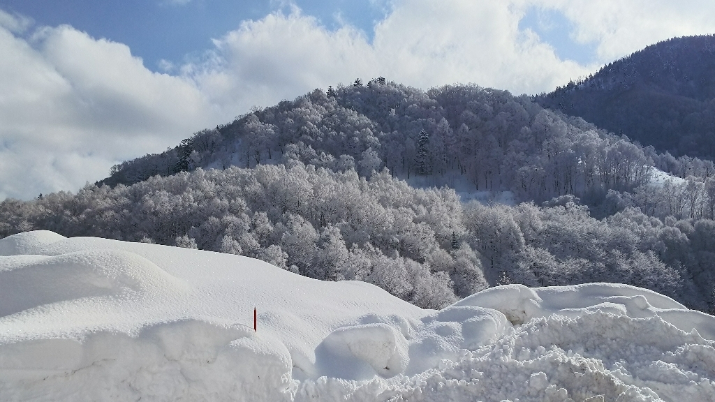 奥飛騨の雪景色_e0305834_02135372.jpg