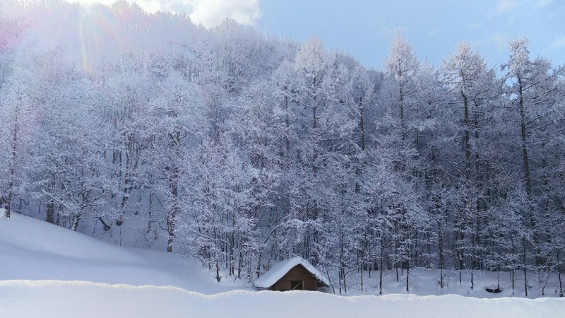 奥飛騨の雪景色_e0305834_02135486.jpg