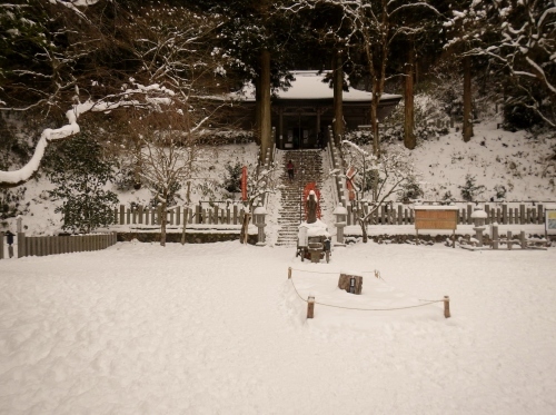 雪の金剛山 部長の記録