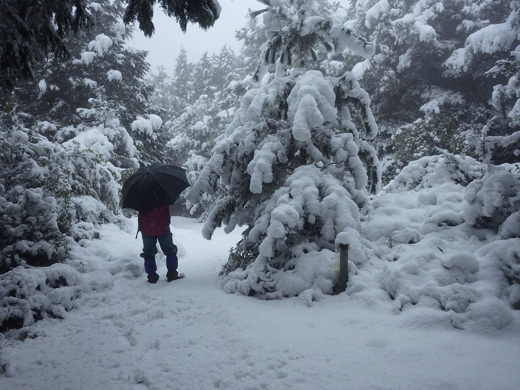 元越山へ_e0164643_21071644.jpg