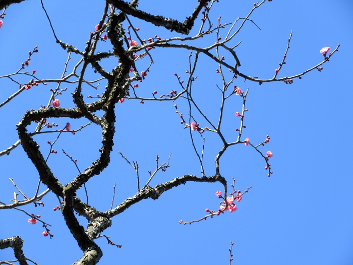 b0009849_151129100.jpg