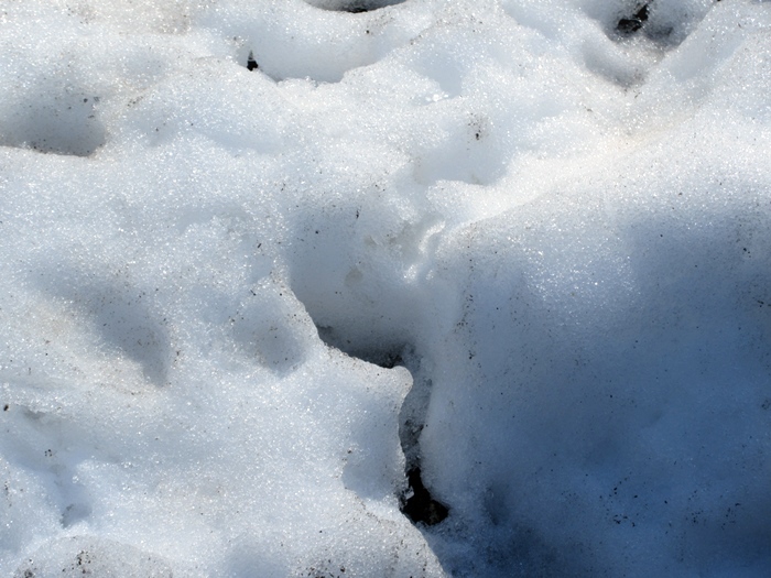 b0009849_151384.jpg
