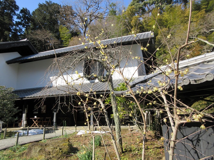 b0009849_1565712.jpg
