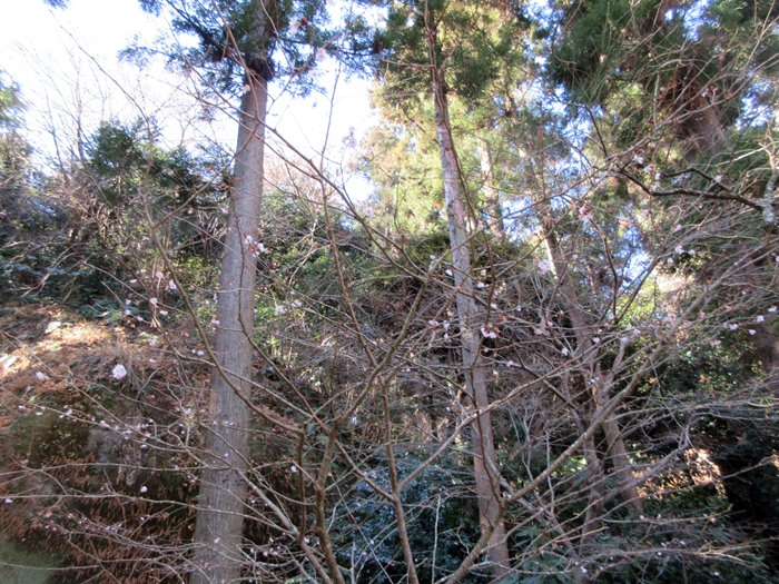 b0009849_1585629.jpg