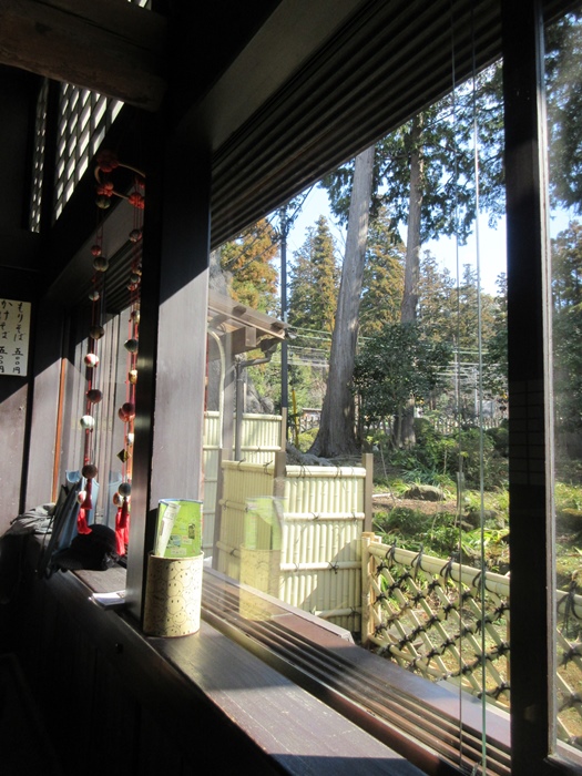 b0009849_1762593.jpg