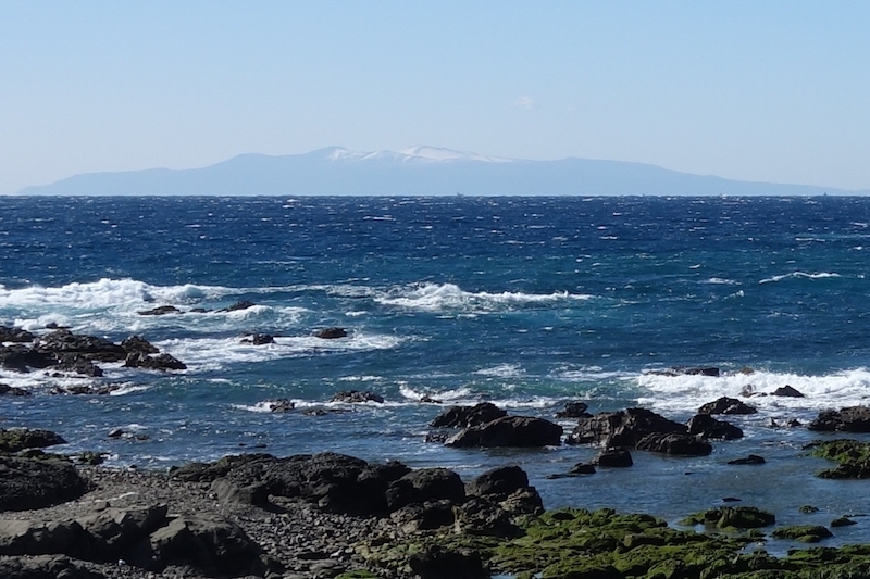 b0325549_21542217.jpg