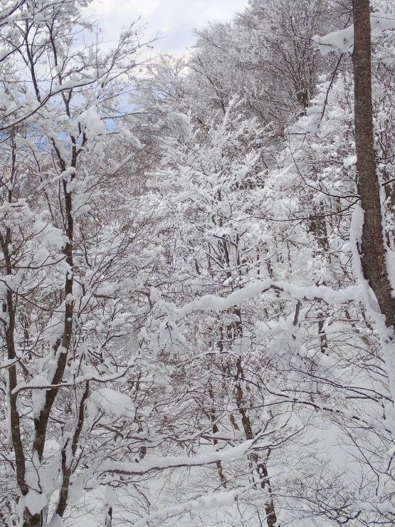 f0214649_05012371.jpg