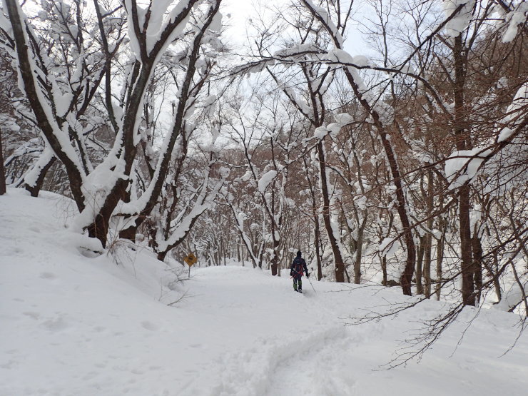 f0214649_05234330.jpg