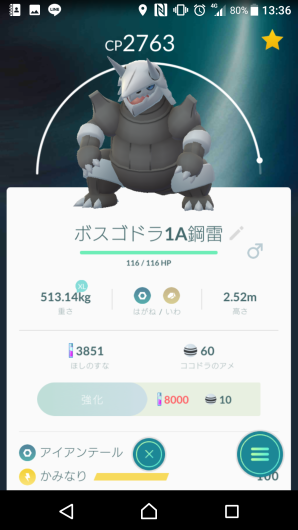 ポケ散歩とレイド_f0037753_19190924.png