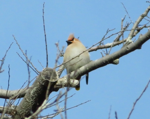 a0018655_10440628.jpg