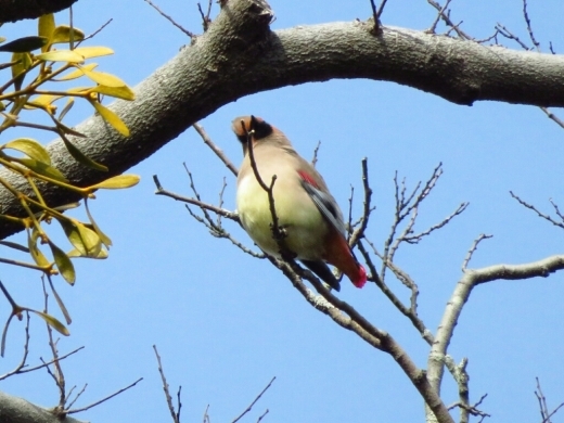 a0018655_10440914.jpg