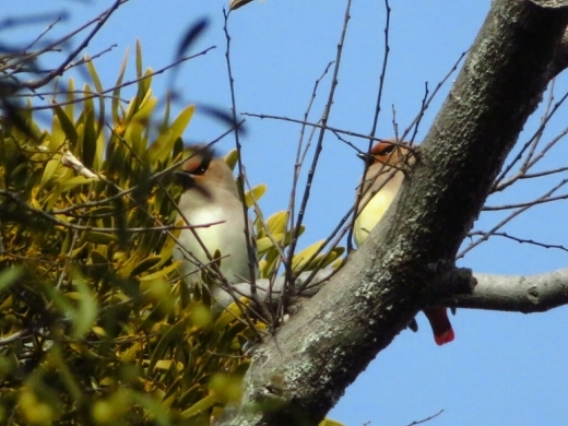 a0018655_10441548.jpg