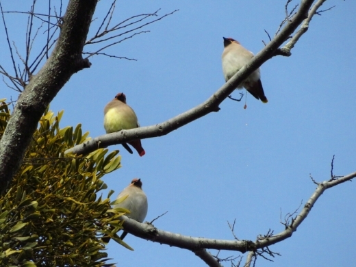 a0018655_10442308.jpg