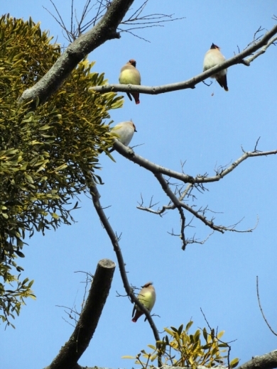 a0018655_10442695.jpg