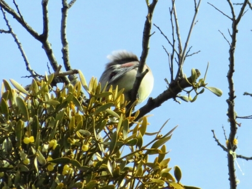a0018655_10442940.jpg