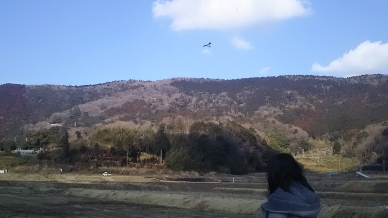 うってかわって(そう来なくっちゃ)_a0069056_18415567.jpg