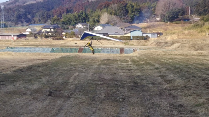 うってかわって(そう来なくっちゃ)_a0069056_18421527.jpg
