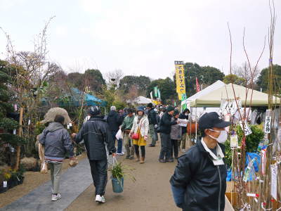 第43回JA植木まつり(IN熊本県農業公園(カントリーパーク))&苗木の定植の話 _a0254656_17361673.jpg