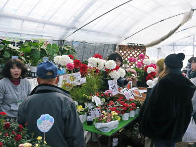 第43回JA植木まつり(IN熊本県農業公園(カントリーパーク))&苗木の定植の話 _a0254656_17594278.jpg
