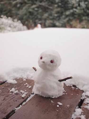 またも積雪 & 怪訝な顔のガーナさん_a0335560_18110809.jpg