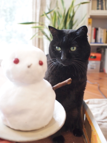 またも積雪 & 怪訝な顔のガーナさん_a0335560_18120963.jpg