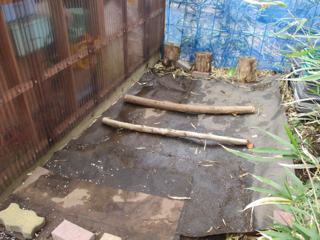 b0366663_17441349.jpg