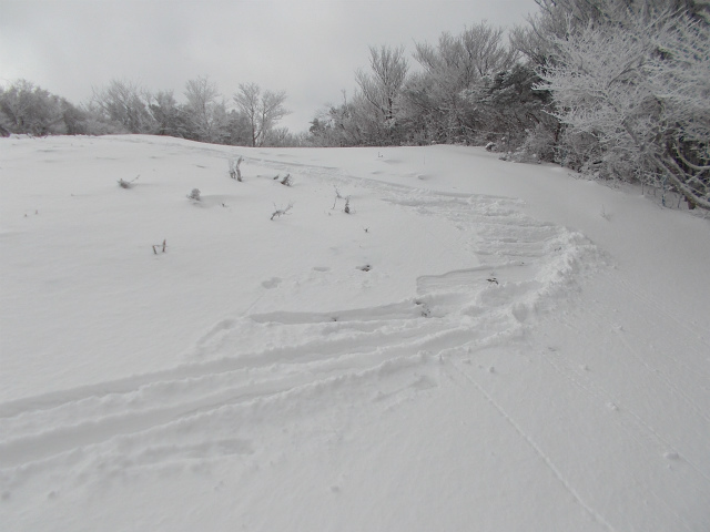 2018.2.4 山スキーごっこ旭ヶ丸_c0219866_18430034.jpg