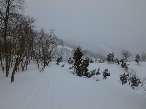 b0050067_20240565.jpg