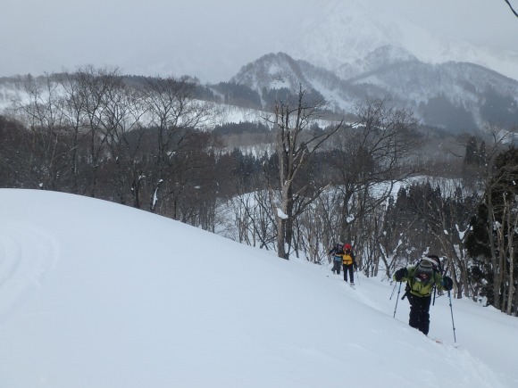 b0050067_20462247.jpg