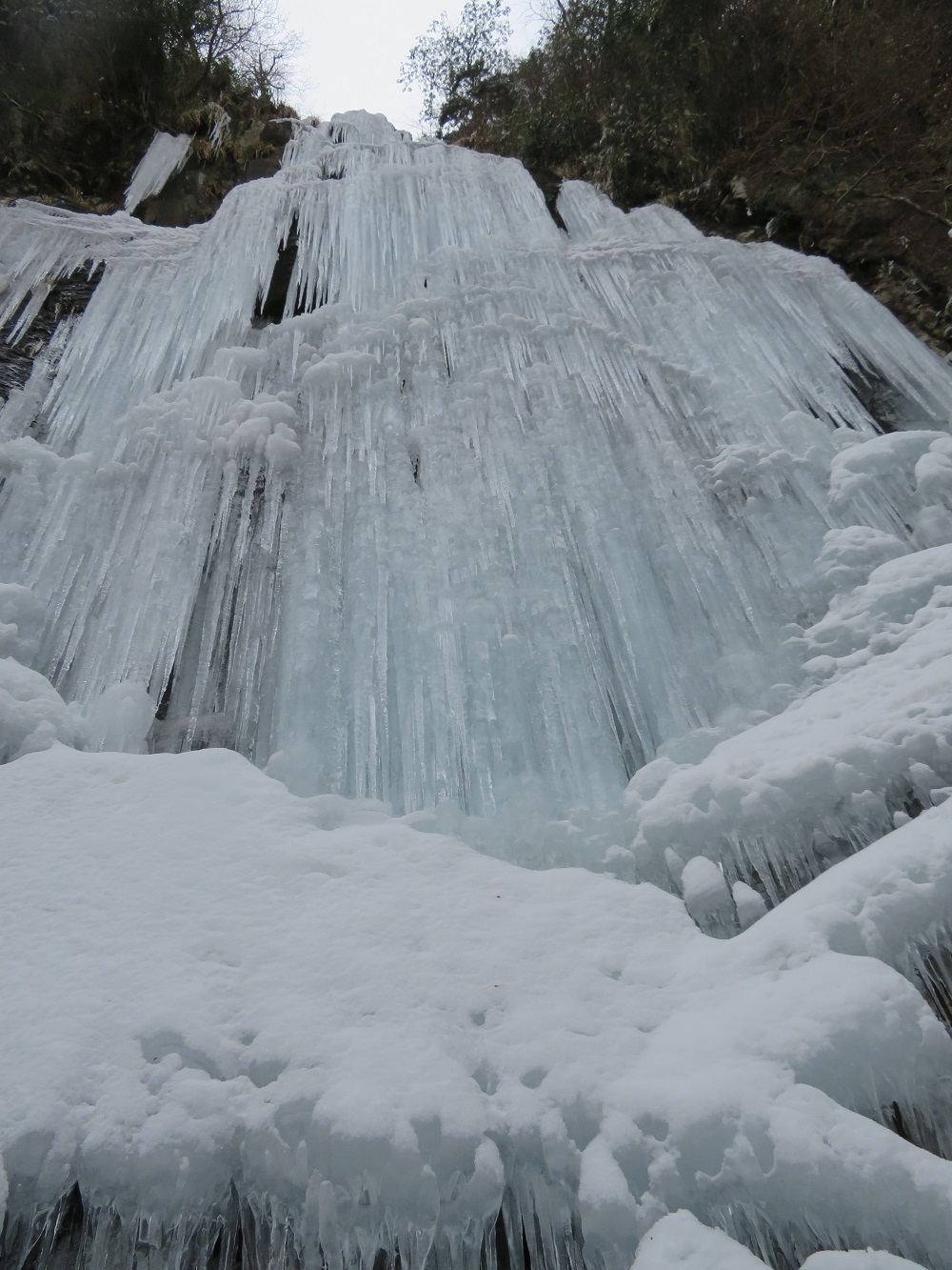 c0042869_15015776.jpg