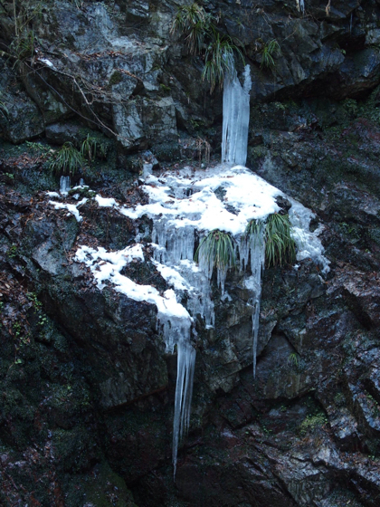 氷の滝を見にいく！_c0122670_18394073.jpg