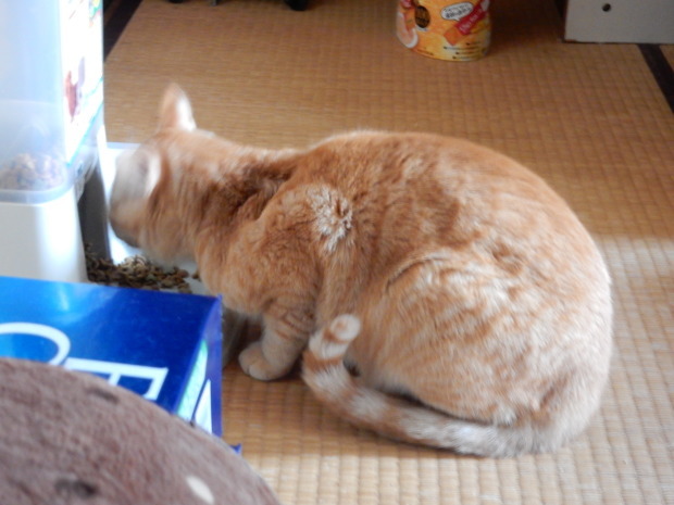 やりたい放題_e0355177_22011060.jpg