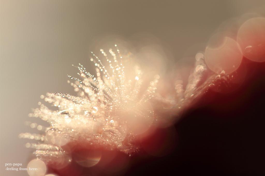 c0356480_13362303.jpg